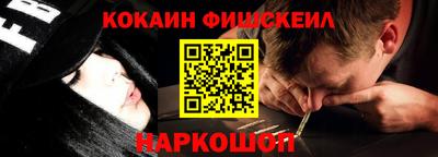 крисы Коммунар