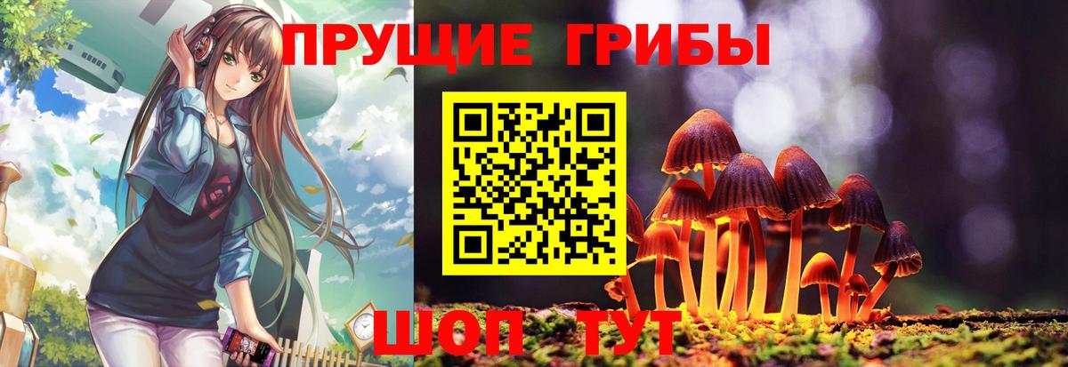Кстово  Псилоцибиновые грибы мицелий  Вход с VPN 